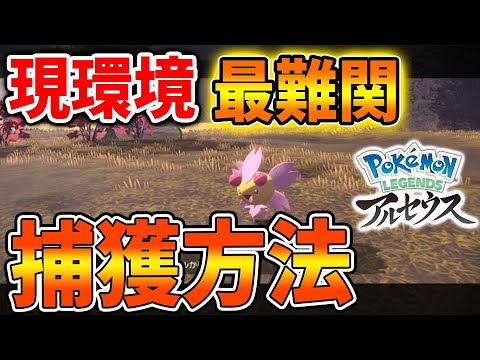 【レジェンズ アルセウス】バグで捕獲難易度が上がったチェリムを捕獲する方法【ポケモン/Pokémon LEGENDS/攻略/アプデ/アップデート/チェリンボ】