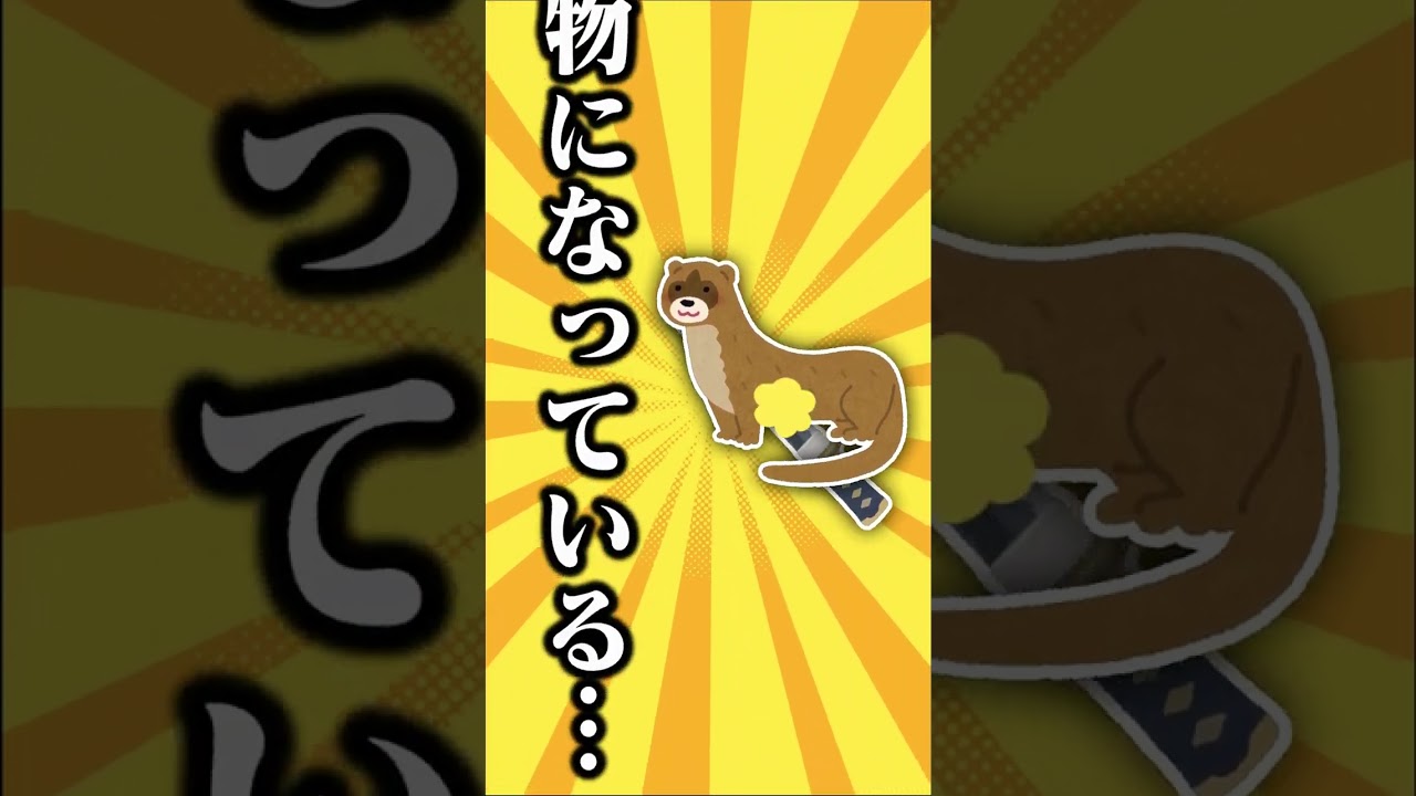 【ポケモン】プロイラストレーターがオタチを図鑑情報だけ見て描いた結果 #shorts #伊東ライフ