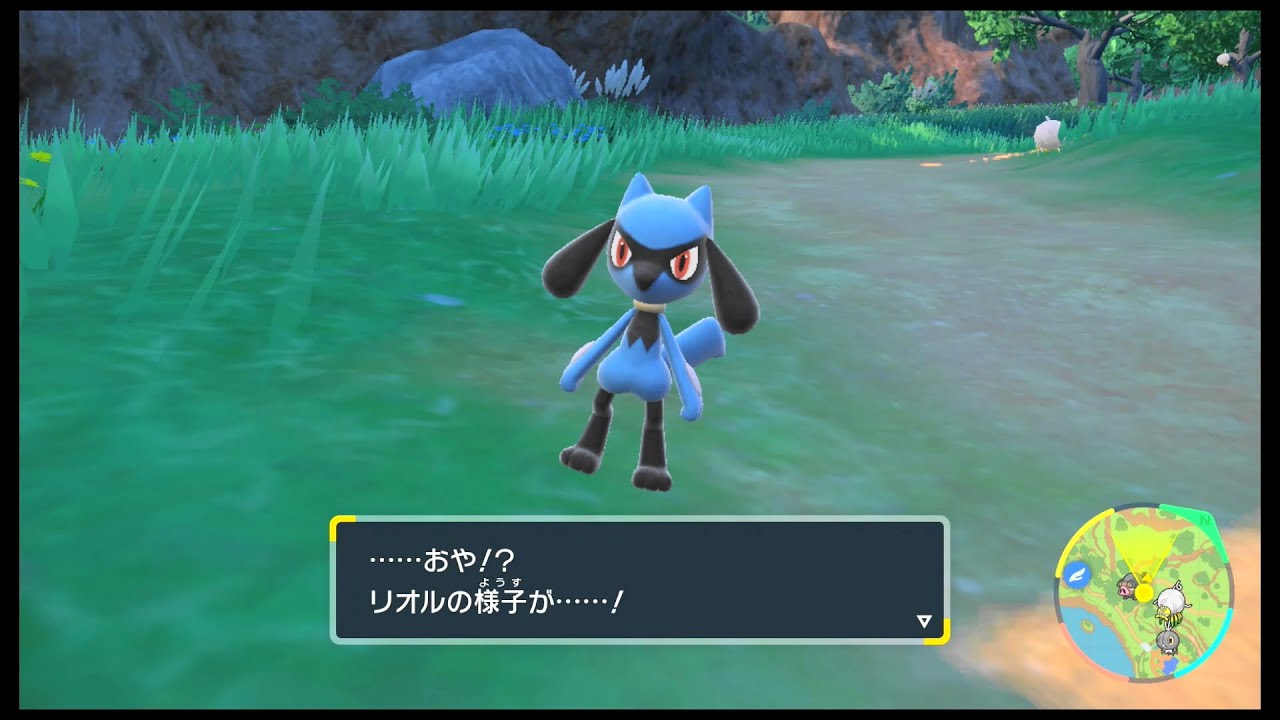 SVのポケモン　リオル なつき レベルアップで進化だぜ！　… … お昼の時間帯だぜ！