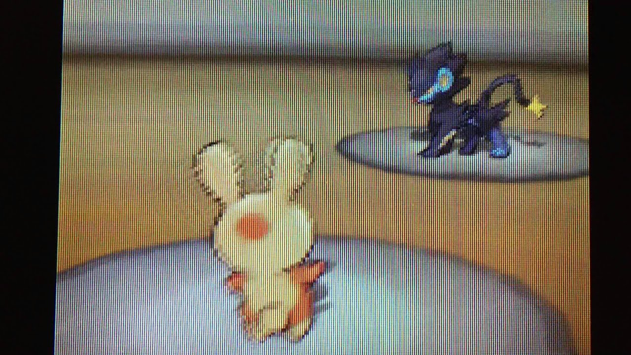 ポケモンBW ランダム　あまのじゃくパッチール奮闘！！ドーブルさんも！