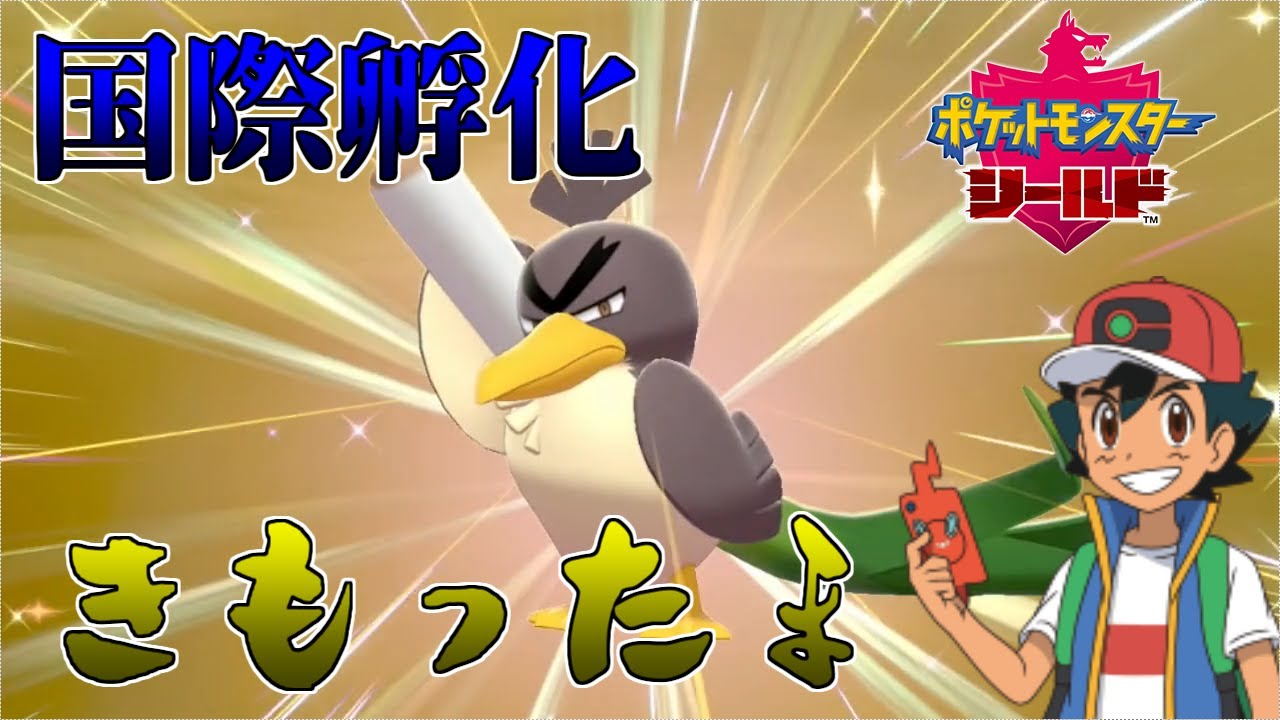 【ポケモン剣盾】さぁ！！冠の雪原よ来いッ！！カモネギ（ガラルの姿）色違いでた！！【ゆっくり実況】
