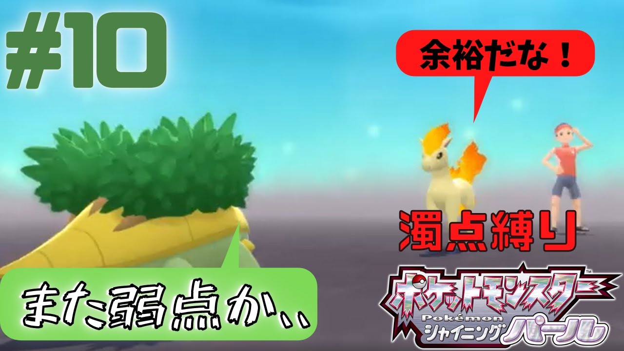 【シャイニングパール】うちのハヤシガメに活躍の場をください、、相性悪いのばっかりなんだが、、