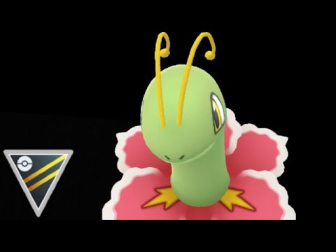 【メガニウム】刺さってないと思ったら想像以上にぶっ刺さりで結構勝ててワロタww【GBL】【ハイパーリーグ】
