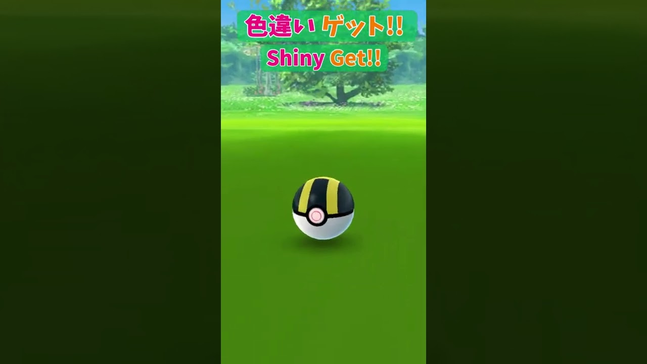 ミズゴロウ色違いゲット!! (Mudkip Shiny)【ポケモンGO Pokémon GO】 #Shorts