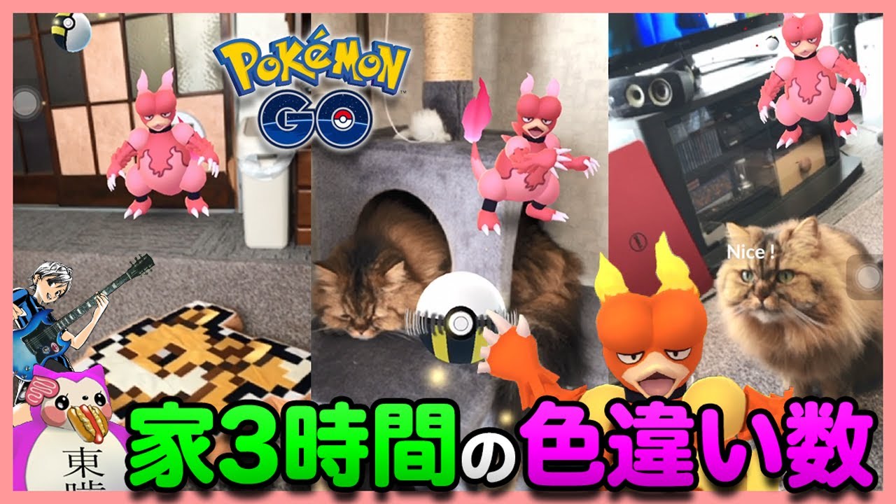 呪いが解けた？自宅3時間で色違いブーバー●体！？コミュニティデイ成果【ポケモンGO】