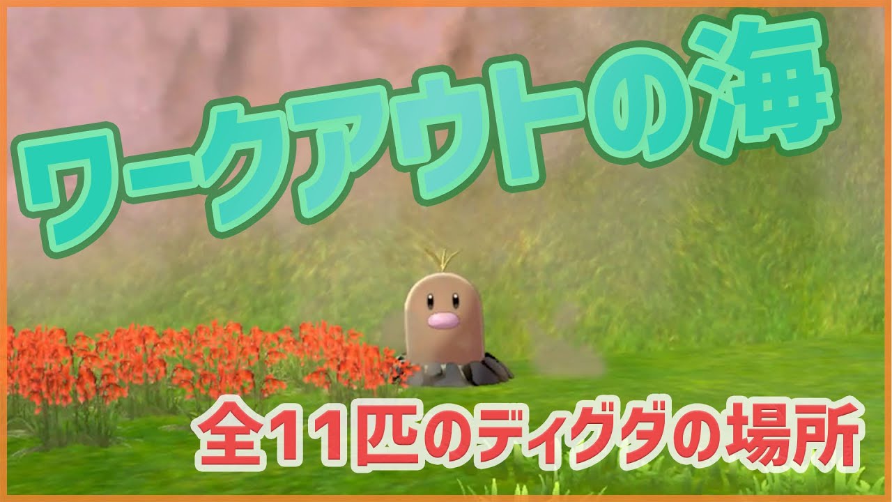 【ポケモンソードシールド】ワークアウトの海｜全11匹のディグダの場所【ポケモン剣盾】