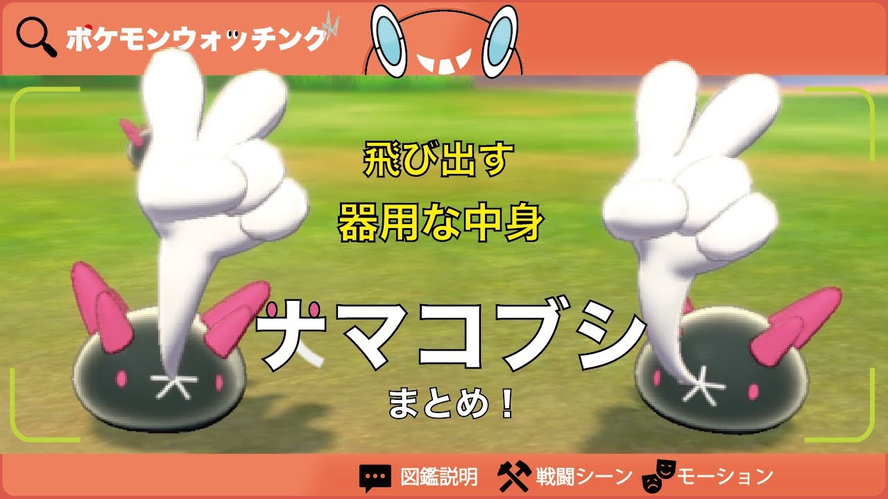 【ナマコブシ】図鑑説明・特性・技・モーションまとめ【図鑑No.771】