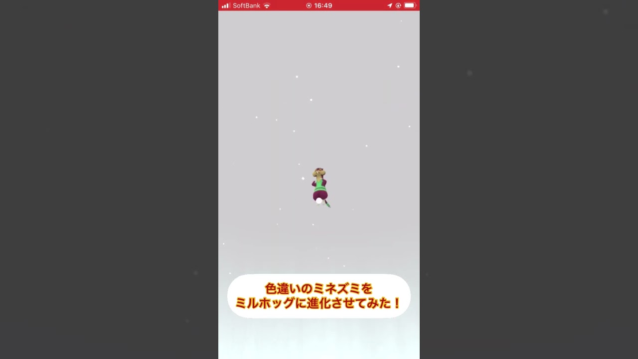 色違いのミネズミをミルホッグに進化させてみた！ #ポケモンgo #色違い