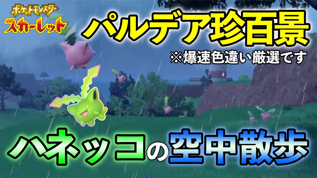 【ポケモンSV】ハネッコ(ワタッコ)の色違いを爆速で厳選する方法をご紹介 大量発生必要なし【誰でも超簡単】