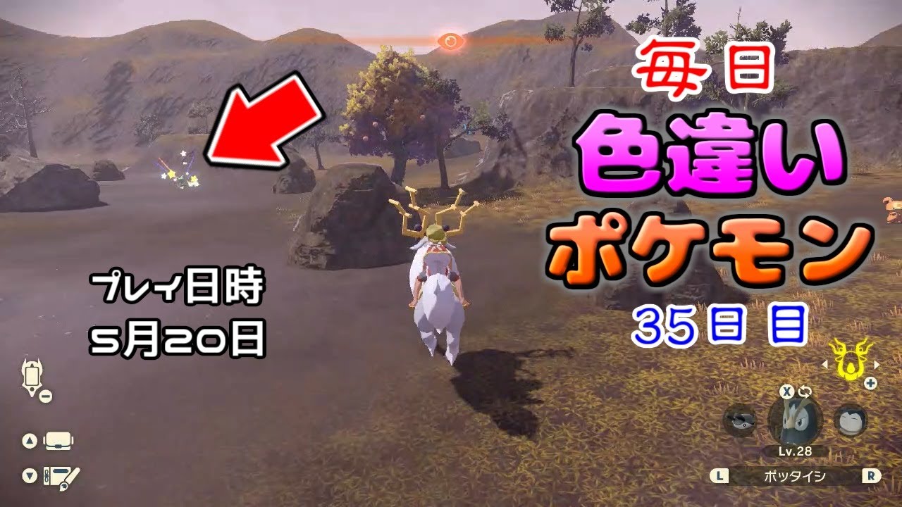 欲しかった色違いヒメグマが現れた【毎日色違いポケモン35日目】