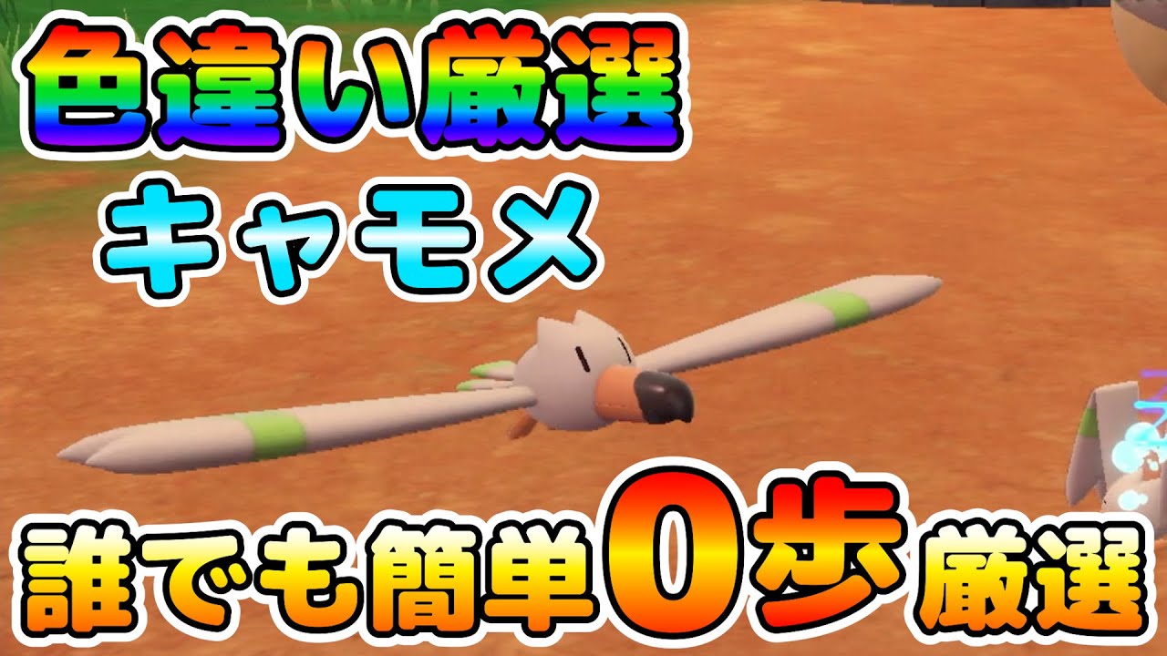 【色厳選】色違いキャモメの厳選場所！厳選が少し楽になるかも？な小技も紹介！【ポケモンSV】