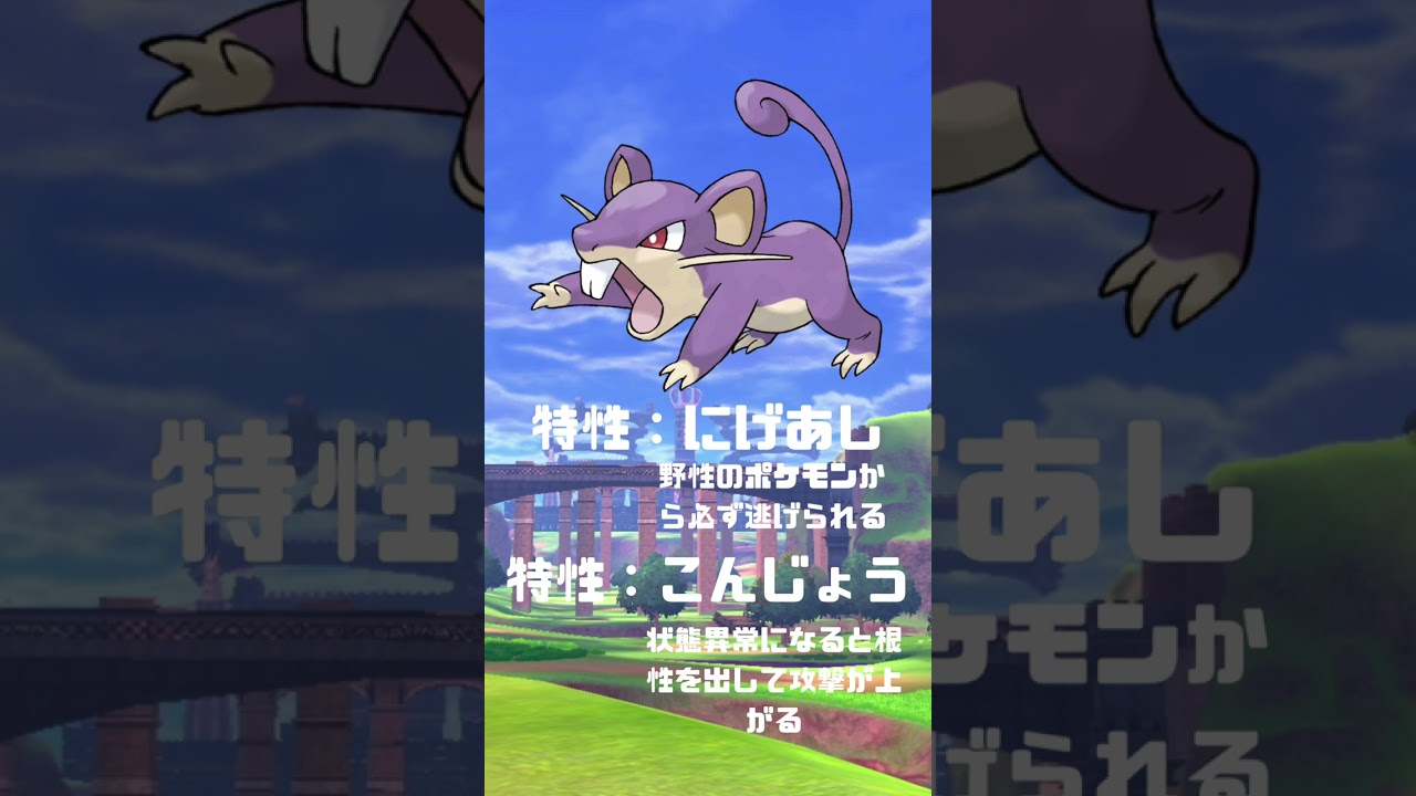 Ｎｏ．0019 コラッタ【ポケモン図鑑】 #shorts   #ポケモン　#pokemon