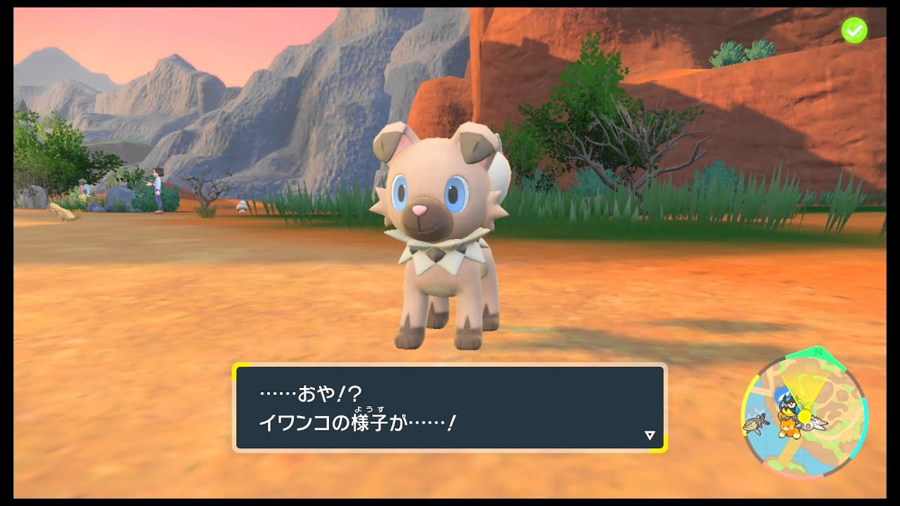 SVのポケモン　イワンコ とくせい：マイペース レベル25で進化　〇方の時間帯