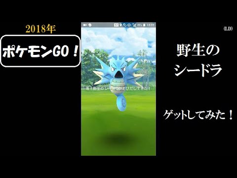 ☆ポケモンGO！☆ （野生のシードラをゲットしてみた！の巻）・2018年