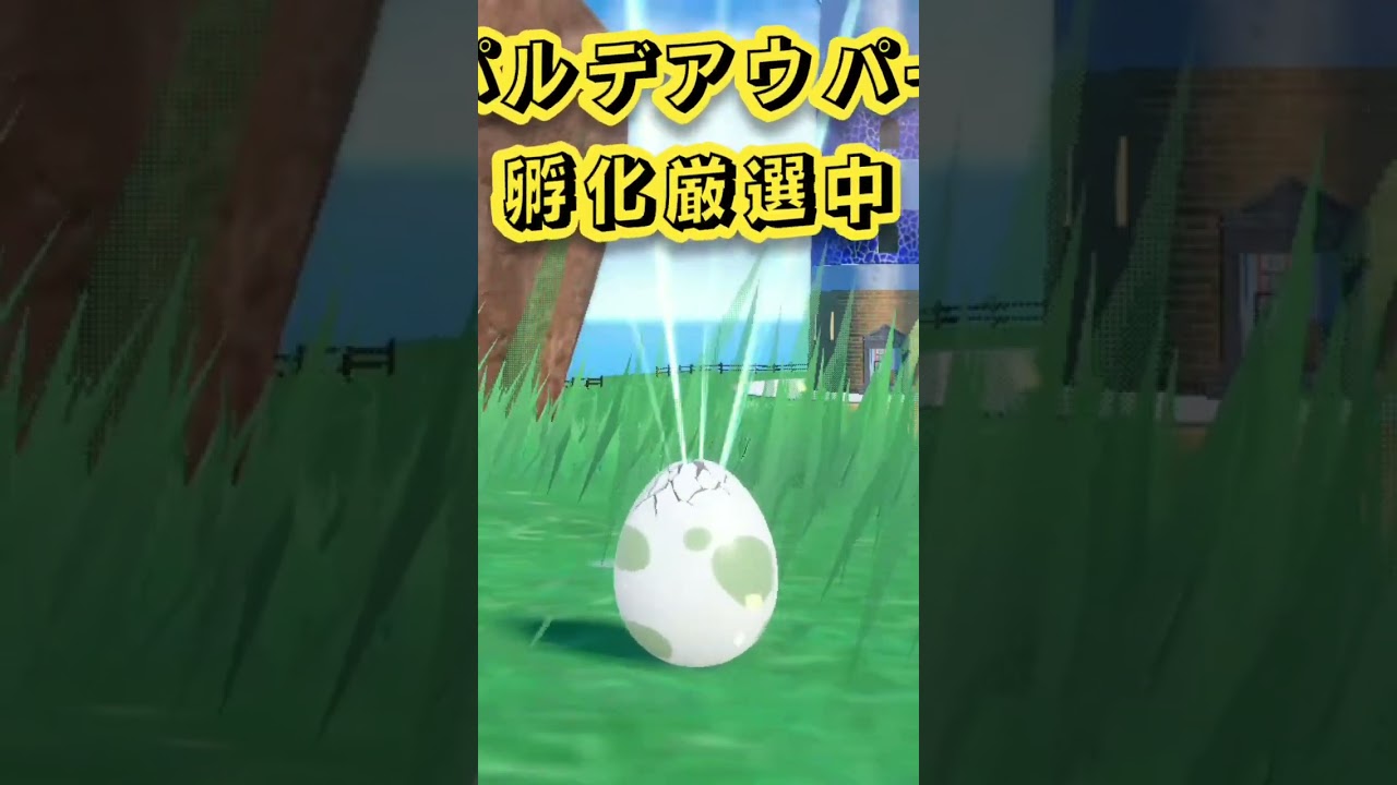 パルデアウパーの色違いがアレな件 #shorts #ポケモンsv #ウパー