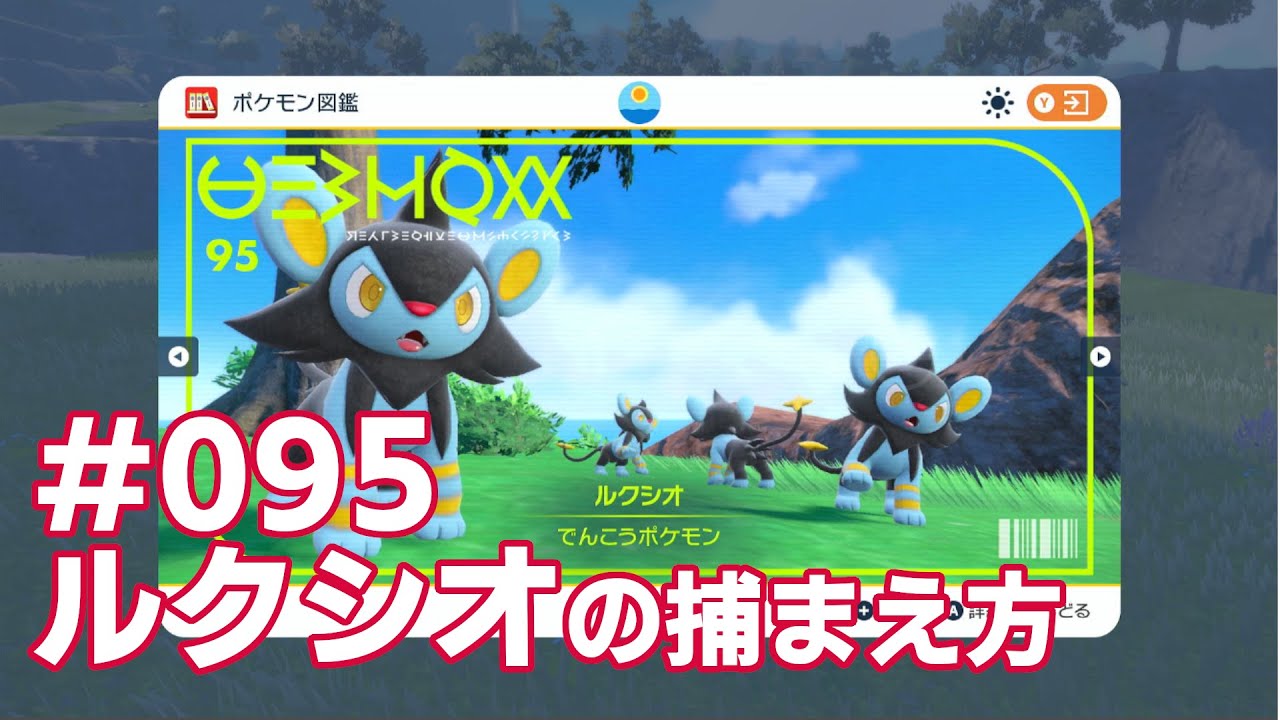 ルクシオを探している方に見てほしい動画