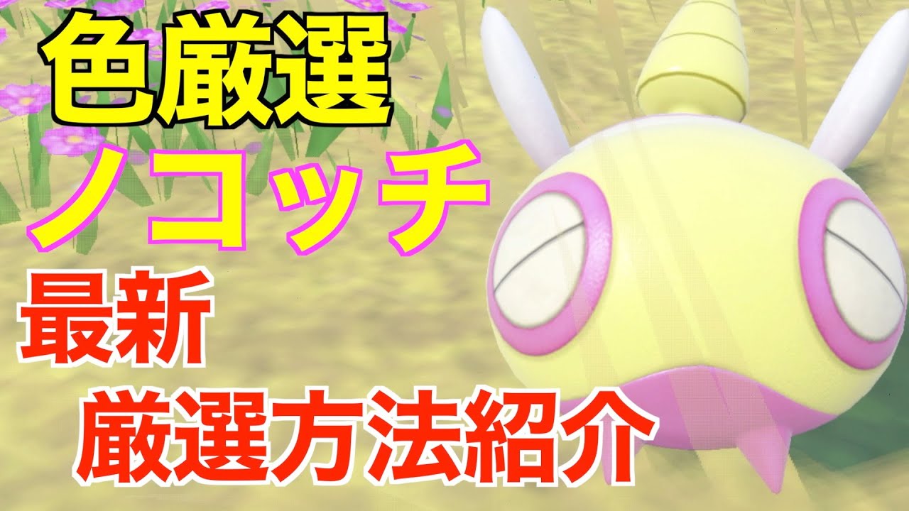 【ポケモンSV】色違いノコッチ！色違いみつふしノココッチ厳選に最適！厳選場所とサンドイッチの作り！厳選方法紹介！【色違いポケモン】