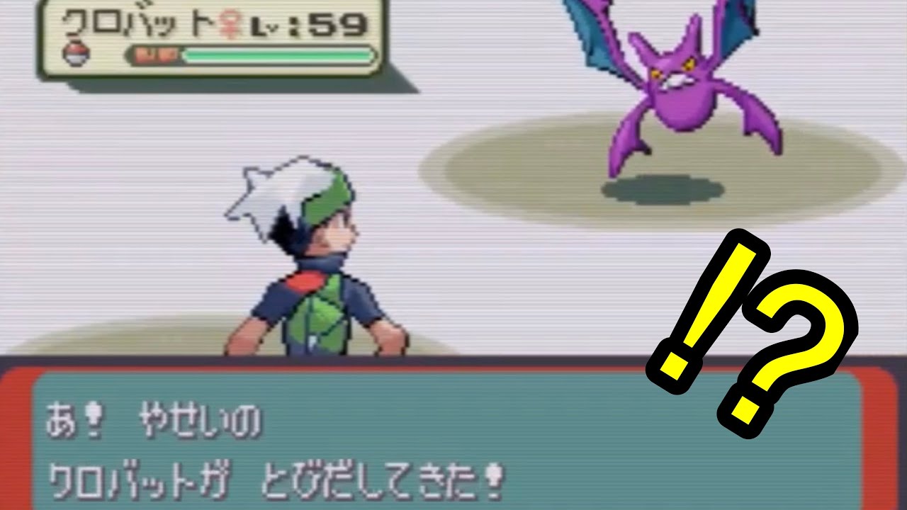 エメラルドで野生のクロバットが出現するエリアを発見しました。【バトルフロンティア完全制覇】
