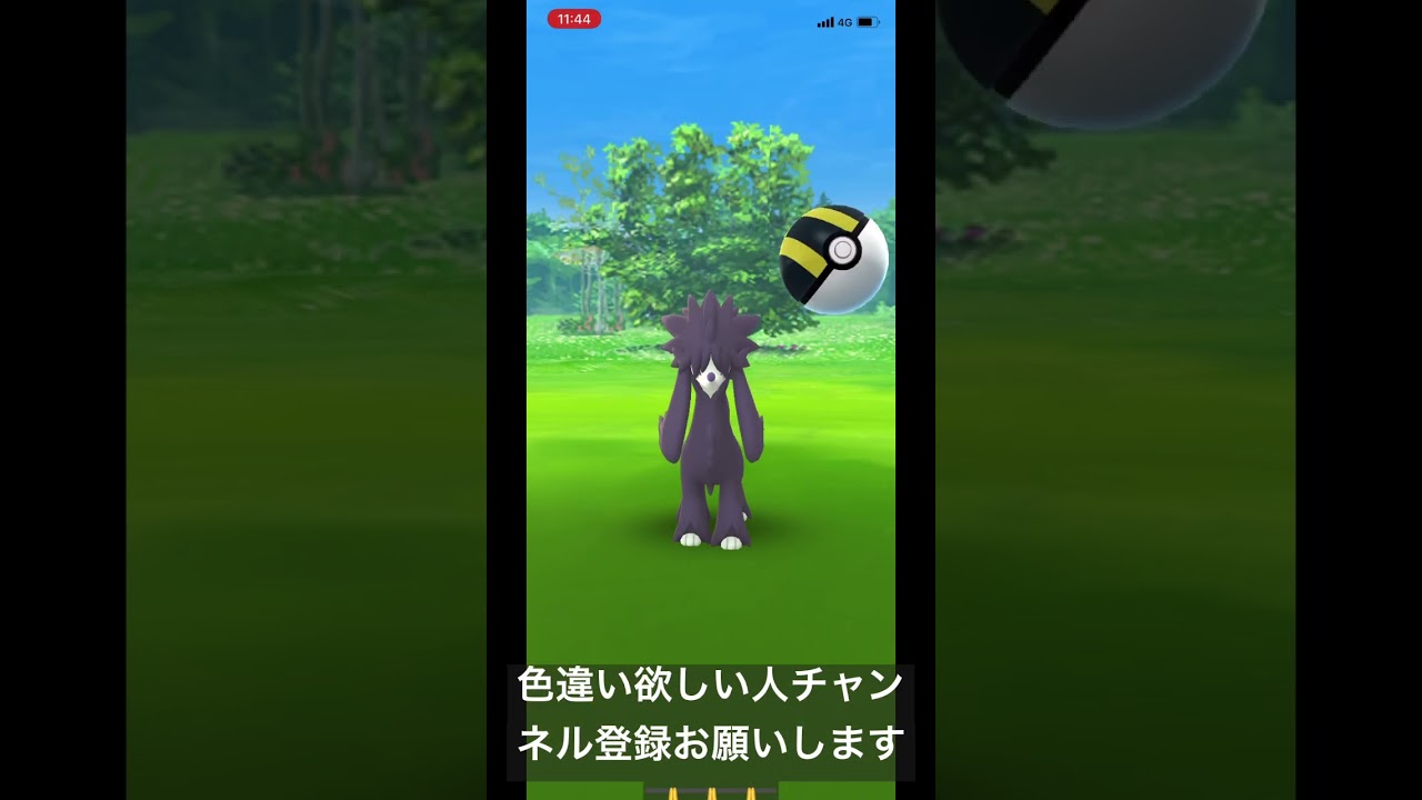 色違いトリミアン#shorts #short #ytshorts #ポケgo #ポケモン #色違い #ポケットモンスター #ポケモンgo #色違いポケモン #pokemon #pokemongo