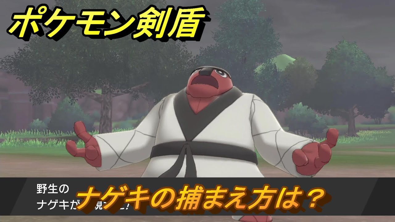 ポケモン剣盾　ナゲキの出現場所は？オススメの場所は？天気は？ポケモン図鑑コンプへの道！　最新版【ポケモンソード・シールド】