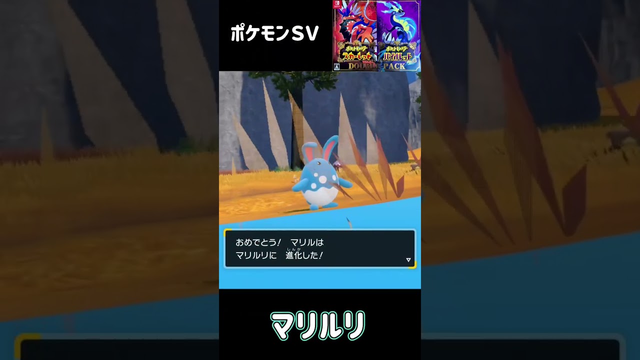 ルリリ進化　マリル進化　マリルリ　ポケモンSV