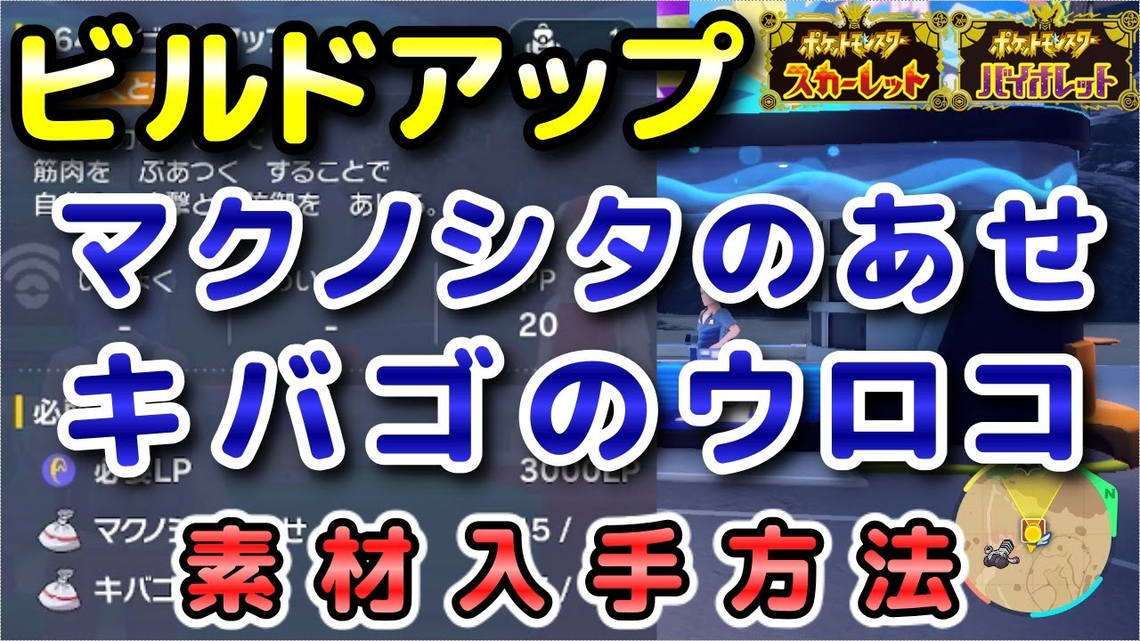 【ポケモンSV】『ビルドアップ』の素材（マクノシタのあせ・キバゴのウロコ）入手方法！効率的に素材を集めよう！【スカーレット・バイオレット】