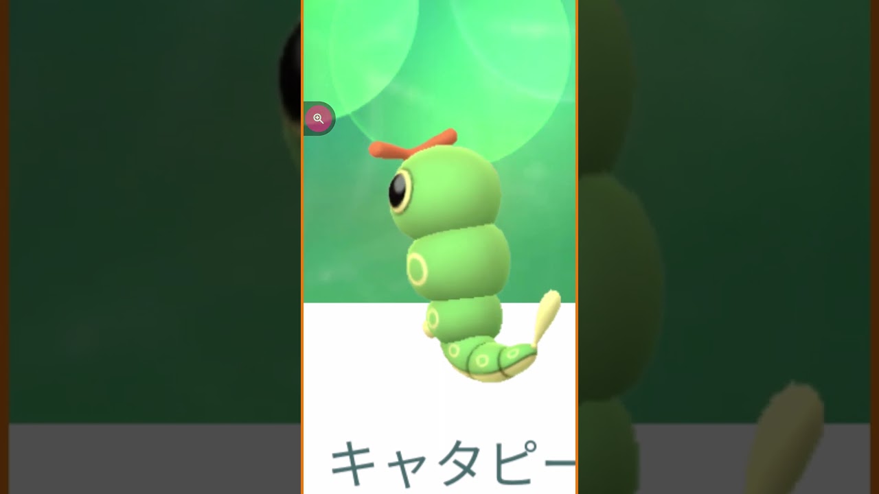 #shorts◇野生のキャタピー　デカいエフェクトのいもむしポケモンです。10年程前、スーパーで買ったブロッコリーの中にこんなのがいました・・・#401