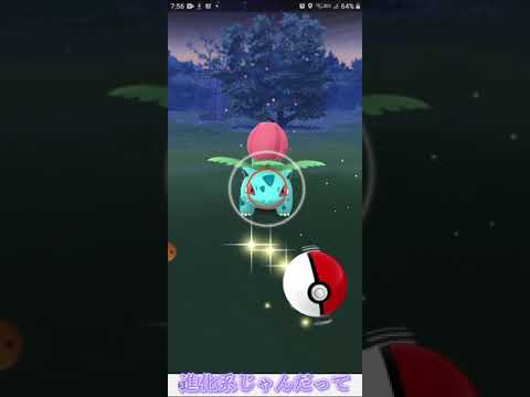 フシギソウ捕まえたけど何この個体値… 舐めてんだろぉぉぉぉ ポケモンGO