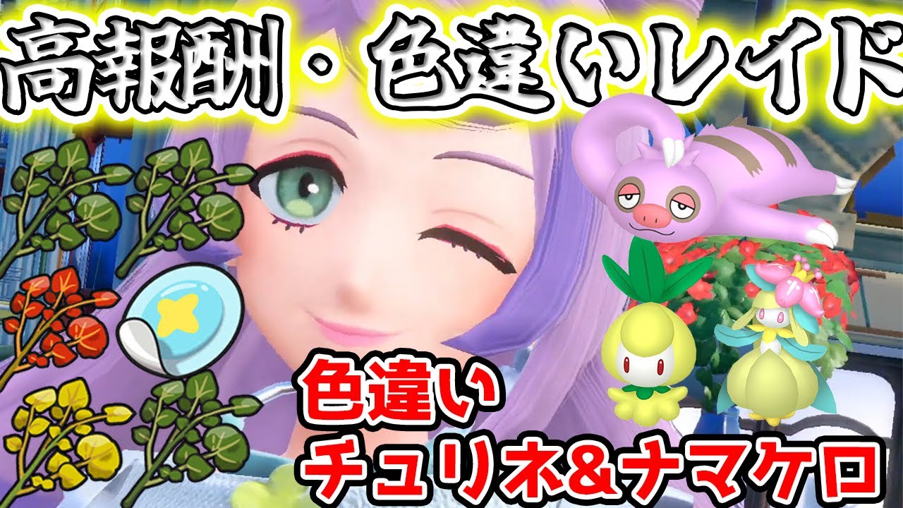 【ポケモンSV】色違いチュリネ、ナマケロ配布＆とくせいパッチ&5スパイスレイド配布！　高報酬レイド配布周回　配信　#ポケモンsv #色違い