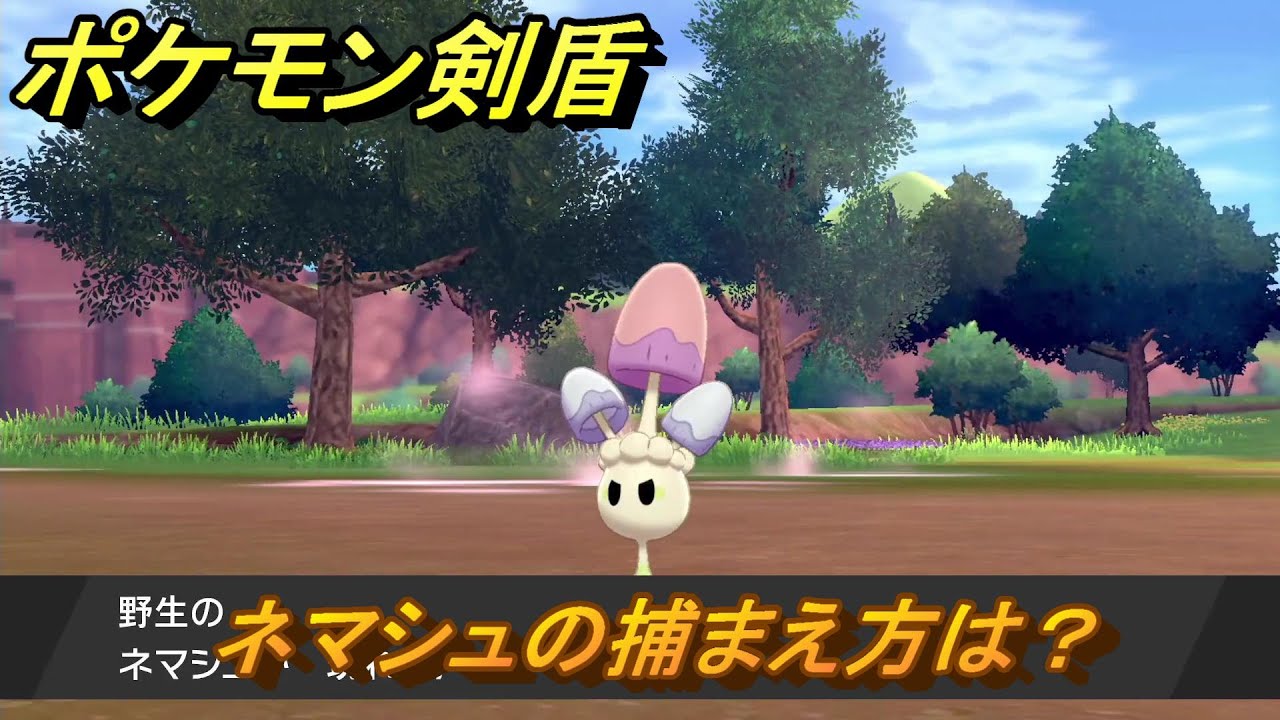 ポケモン剣盾　ネマシュの出現場所は？オススメの場所は？天気は？ポケモン図鑑コンプへの道！　最新版【ポケモンソード・シールド】