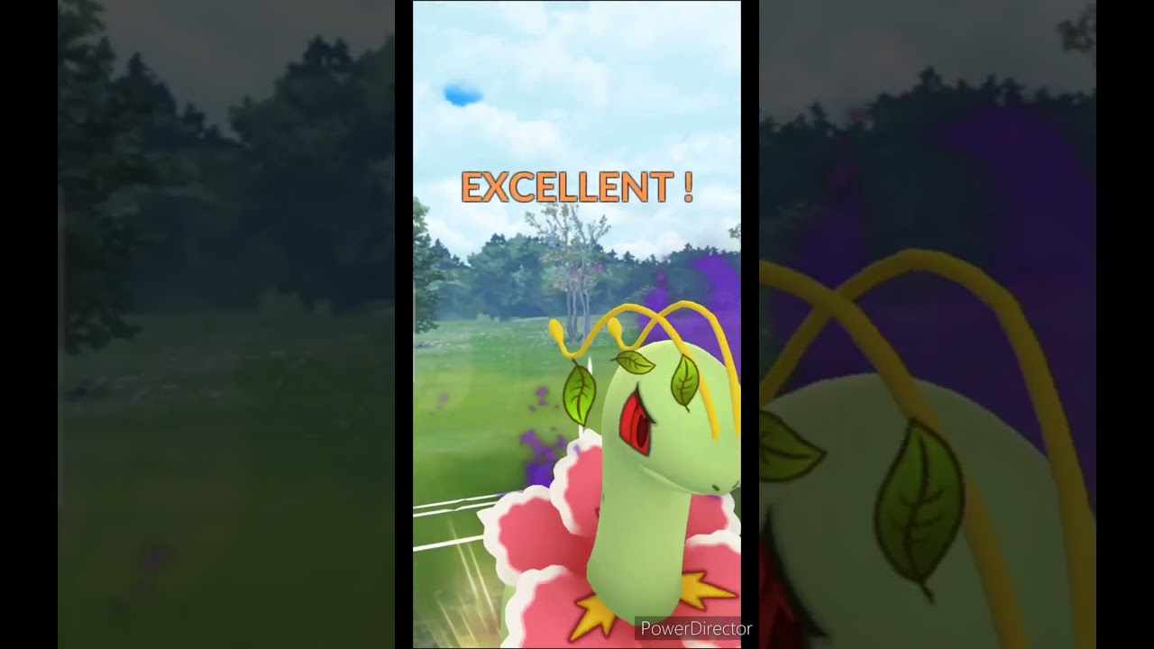 シャドウメガニウムの威力を知っていますか？【4色カップ】