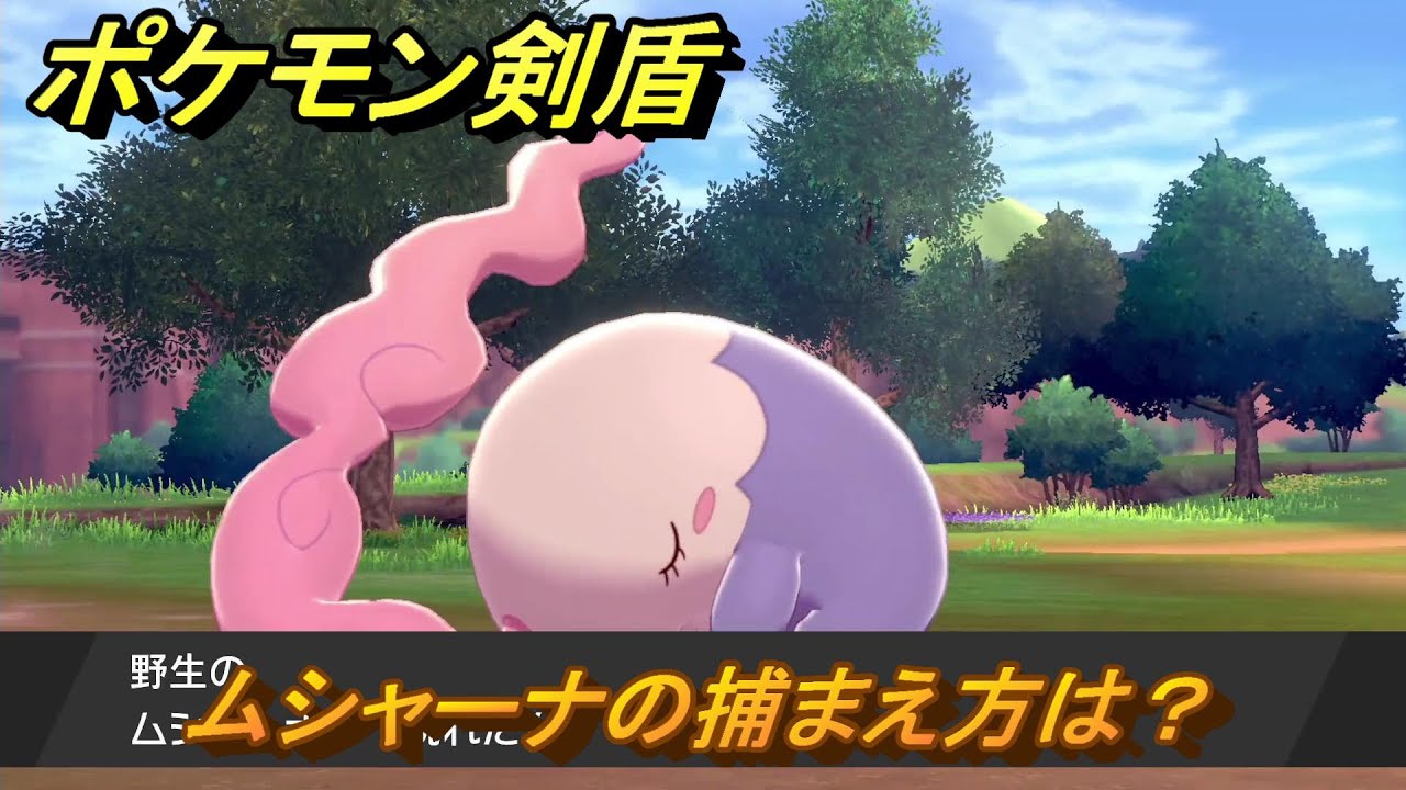 ポケモン剣盾　ムシャーナの出現場所は？オススメの場所は？天気は？ポケモン図鑑コンプへの道！　最新版【ポケモンソード・シールド】