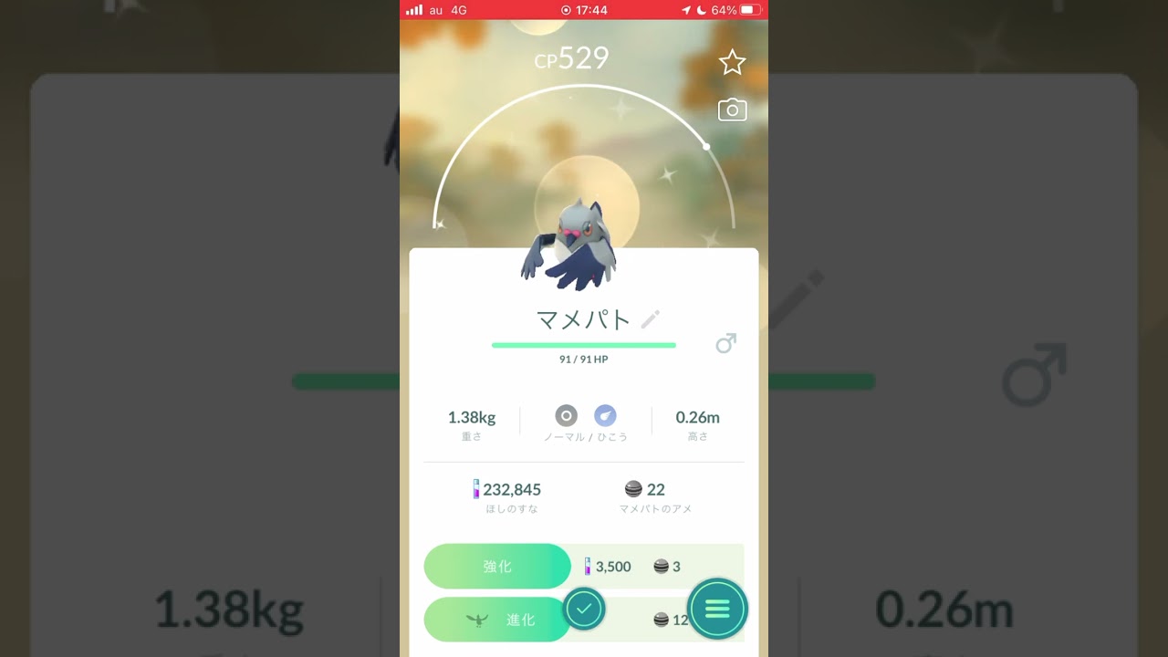 マメパト 色違い#shorts #ポケモン #ポケモンgo