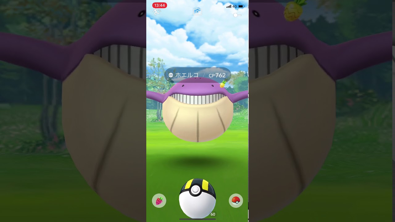 【ポケモンGO】色違いホエルコ、Getだぜ！