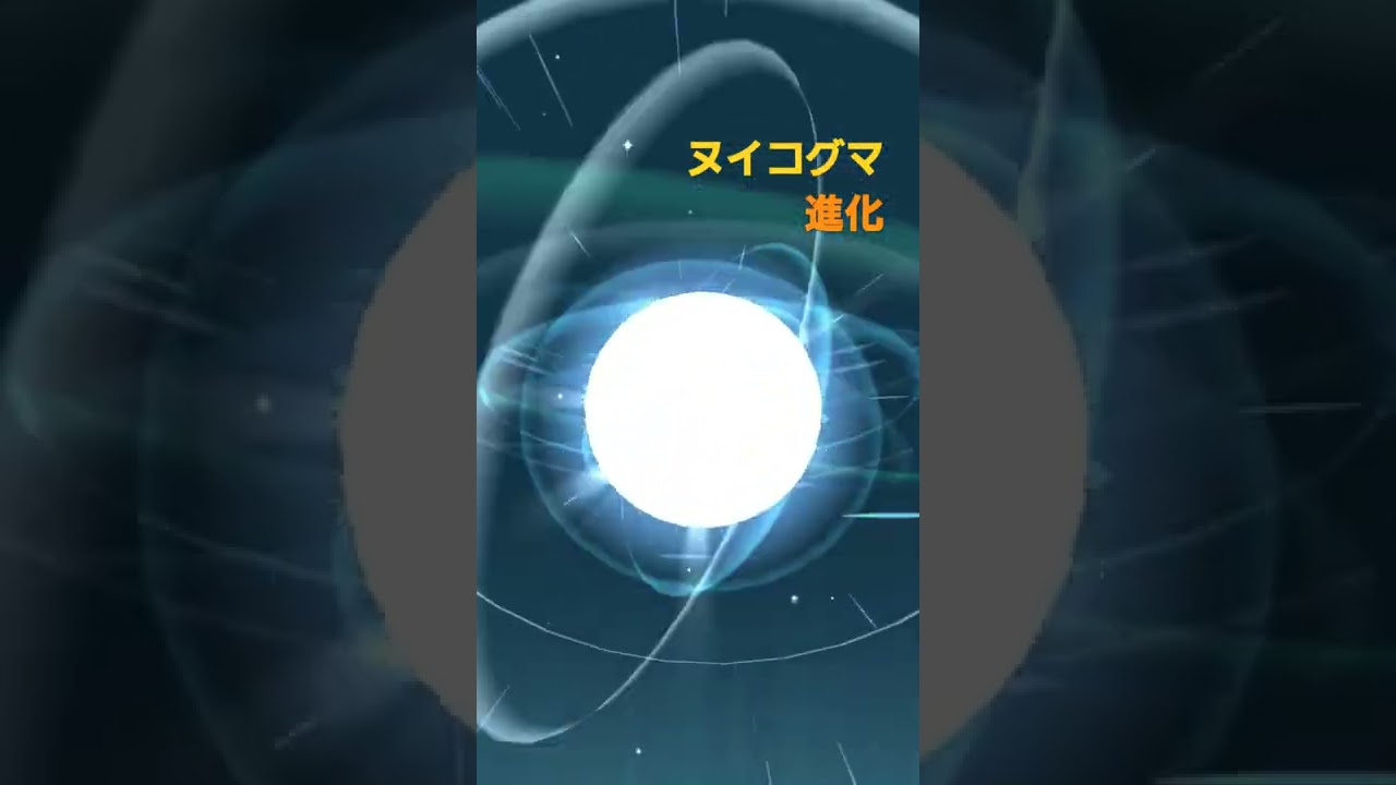 ヌイコグマ進化！