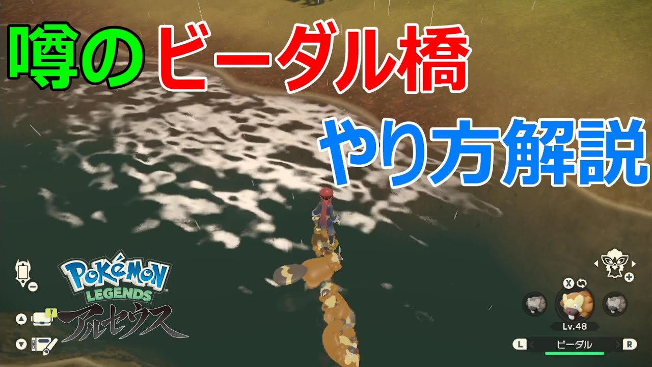 【レジェンズアルセウス】今話題のビーダル橋のやり方解説します！