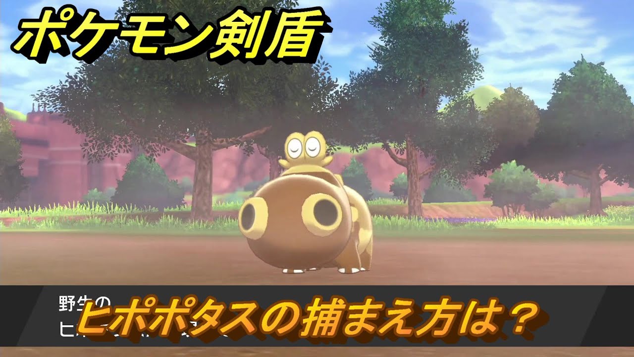 ポケモン剣盾　ヒポポタスの出現場所は？オススメの場所は？天気は？ポケモン図鑑コンプへの道！　最新版【ポケモンソード・シールド】
