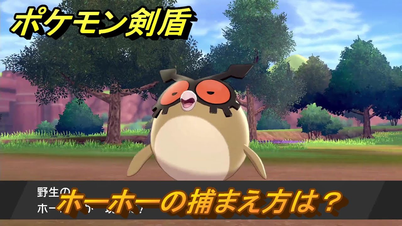 ポケモン剣盾　ホーホーの出現場所は？オススメの場所は？天気は？ポケモン図鑑コンプへの道！　最新版【ポケモンソード・シールド】