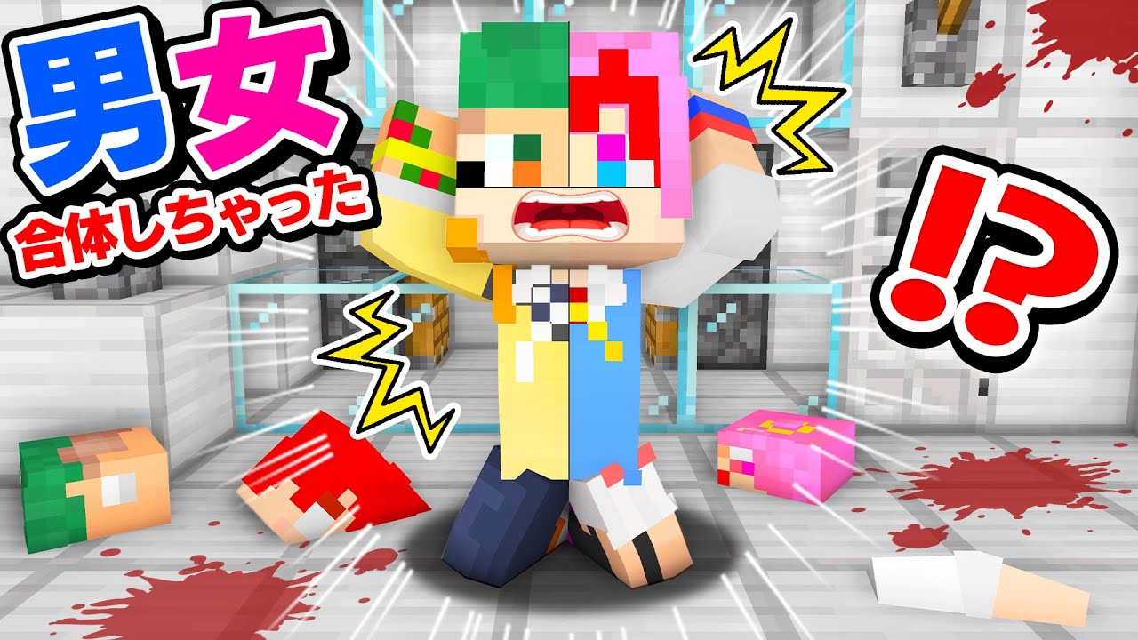 24時間４人のカラダが1つになった！？トモダチを元に戻そうとした結果😭🧬！『男女合体クラフト』【まいくら・マインクラフト】よろずや