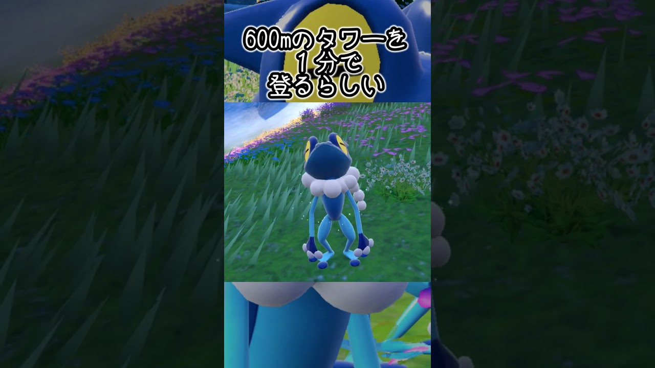 【疲れた人向け】ゲコガシラ6匹とピクニック【ポケモンSV】#Shorts