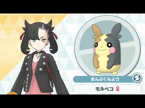 【ポケマス】マリィ/モルペコ おねんねさせちゃうワイルドボルト