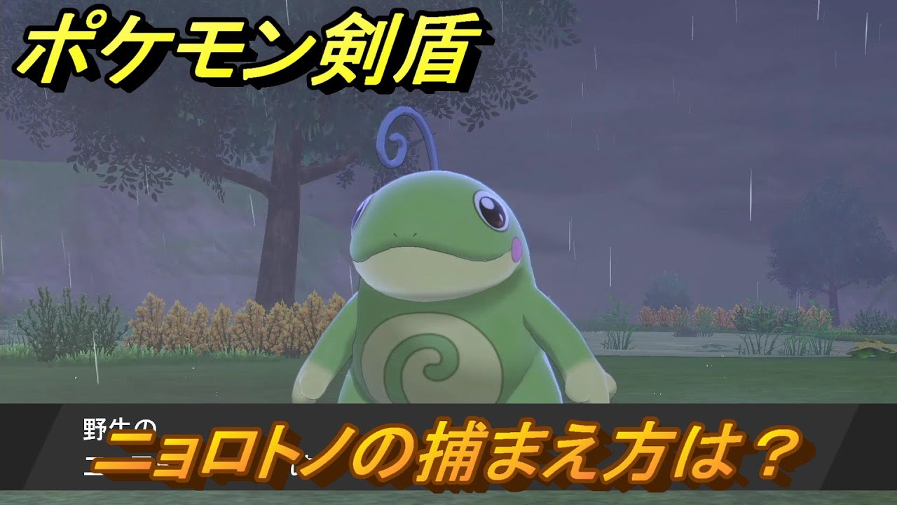 ポケモン剣盾　ニョロトノを捕まえる方法！オススメの場所は？天気は？ポケモン図鑑コンプへの道！　最新版【ポケモンソード・シールド】