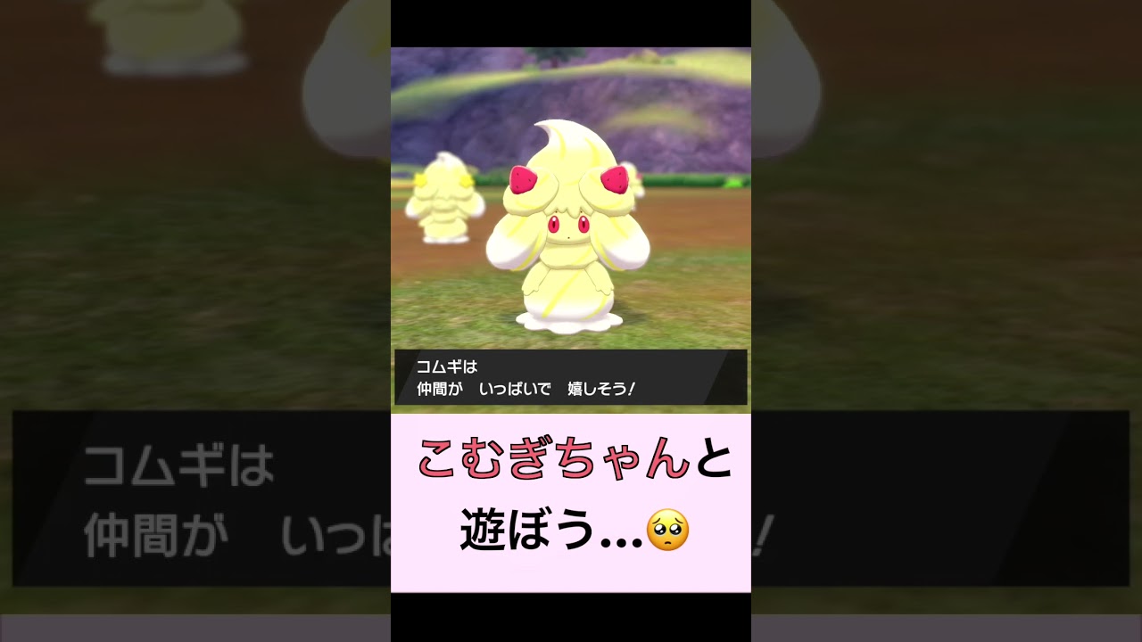 こむぎちゃんと遊ぼう…🥺【劇団マホイップ】#shorts