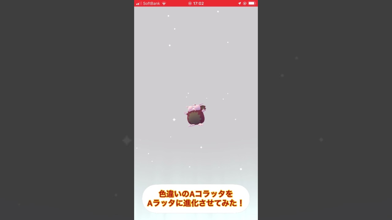 色違いのAコラッタをAラッタに進化させてみた！ #ポケモンgo #色違い