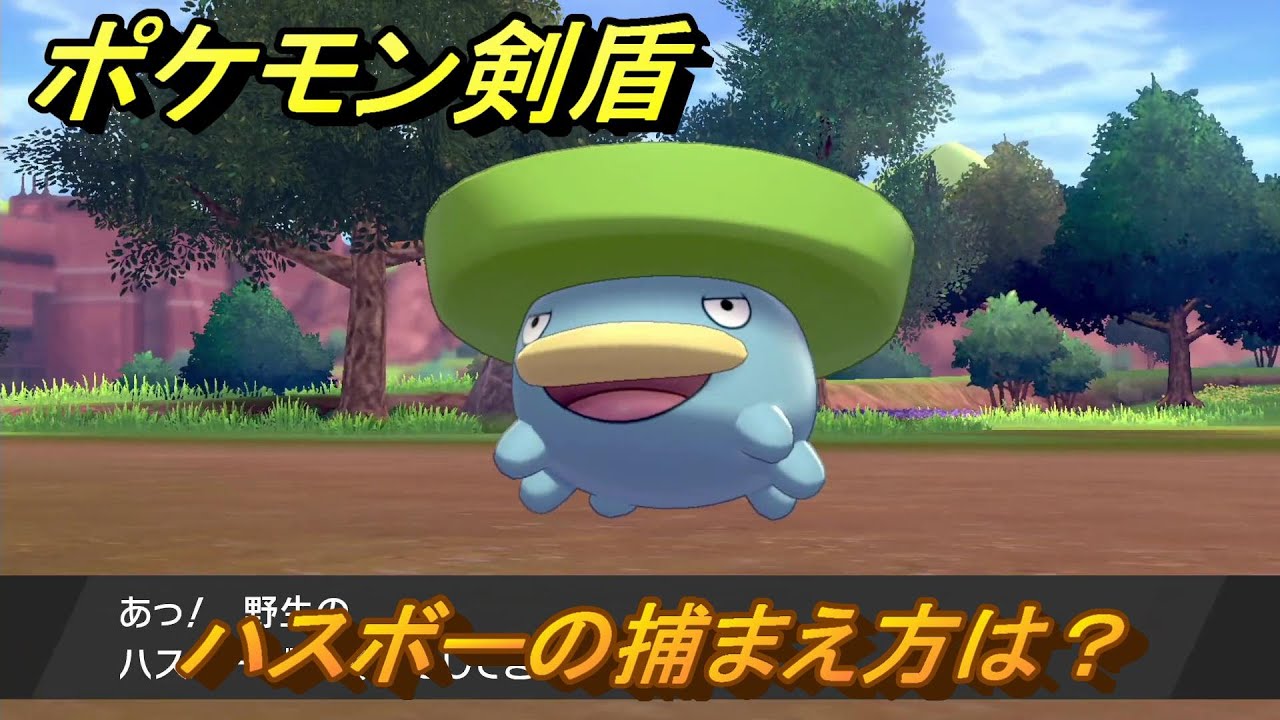 ポケモン剣盾　ハスボーの出現場所は？オススメの場所は？天気は？ポケモン図鑑コンプへの道！　最新版【ポケモンソード・シールド】