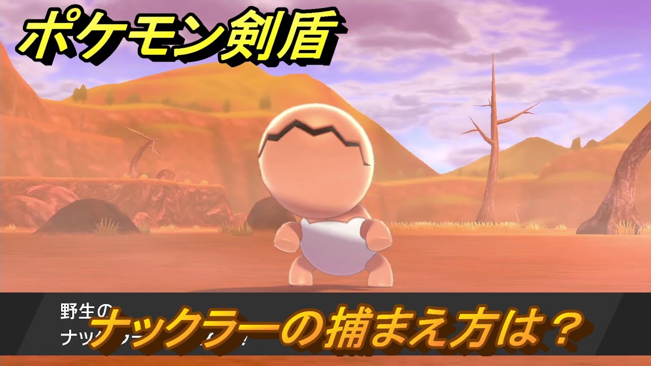 ポケモン剣盾　ナックラーの出現場所は？オススメの場所は？天気は？ポケモン図鑑コンプへの道！　最新版【ポケモンソード・シールド】