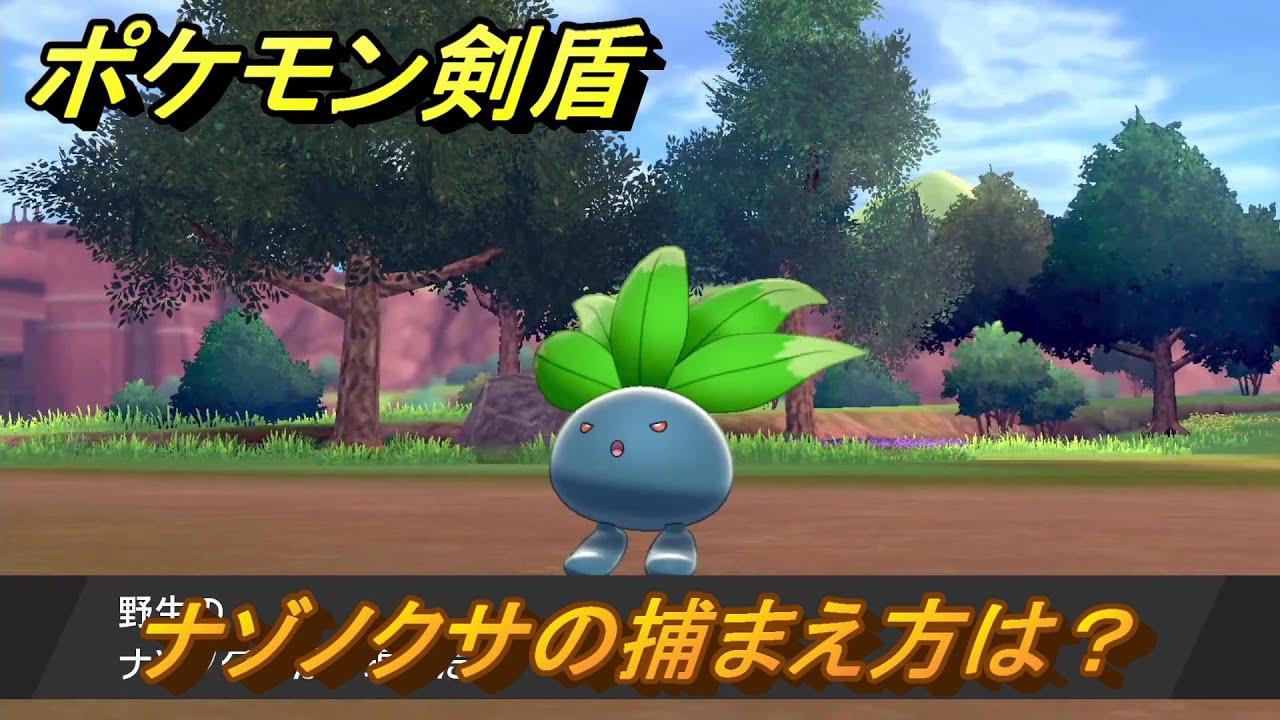 ポケモン剣盾　ナゾノクサの出現場所は？オススメの場所は？天気は？ポケモン図鑑コンプへの道！　最新版【ポケモンソード・シールド】