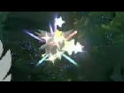 チェリンボを探していたら…　主　！？！？