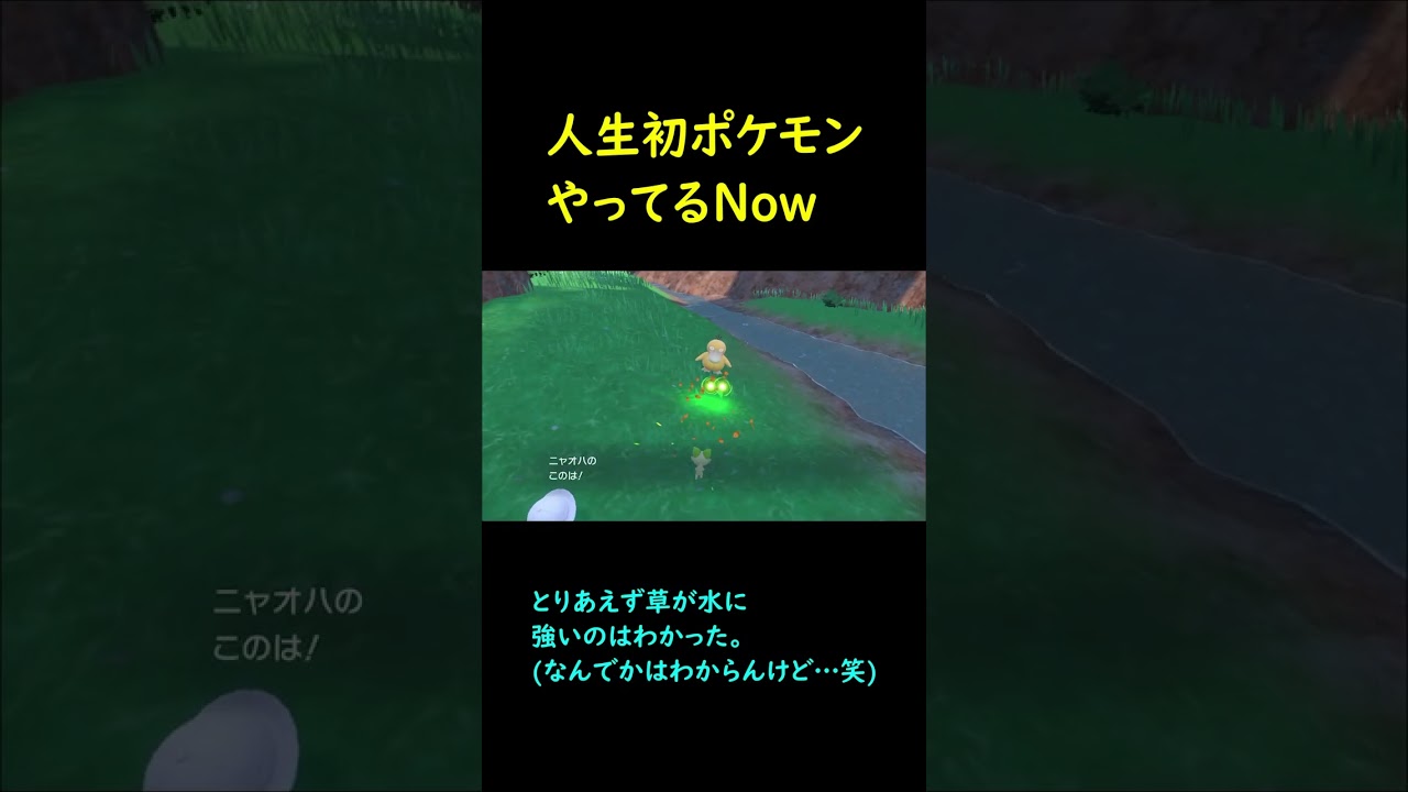 ピカチュウとソーナンス以外ポケモン分かりません…(笑)