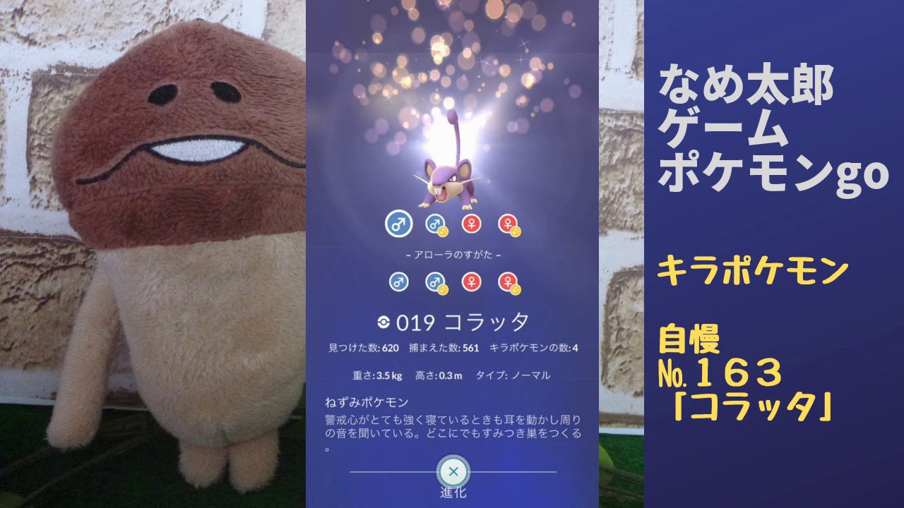 なめ太郎のキラポケモン自慢コーナーナンバー１６３、「コラッタ」【ポケモンgo】